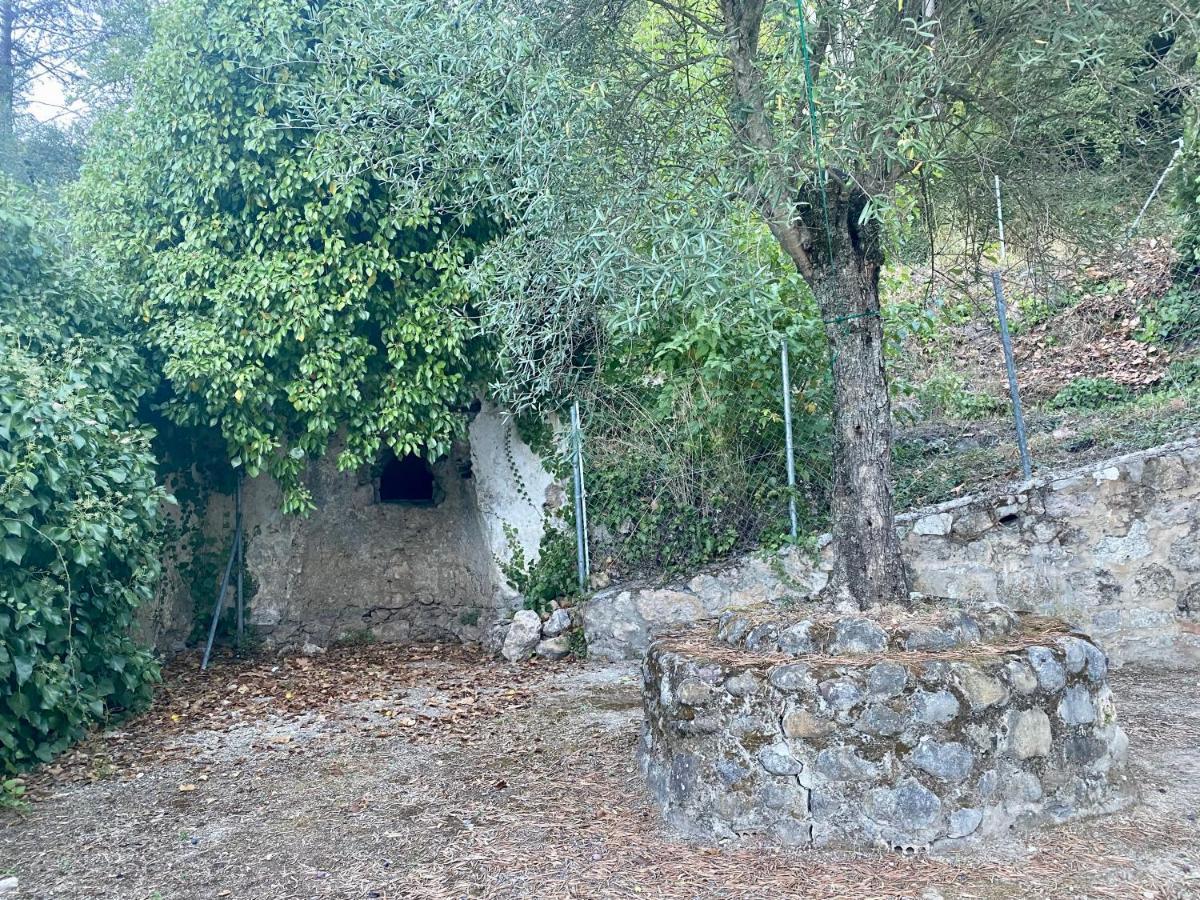 Stay Wild en Las Casitas de Huerta Arriba Benamahoma Exterior foto
